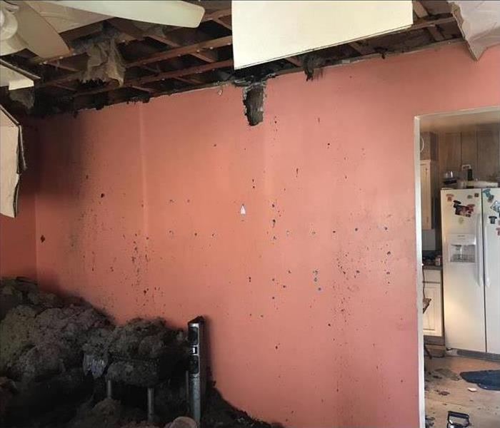 Ceiling collapsed after fire damage, smoked walls, insulation on the floor