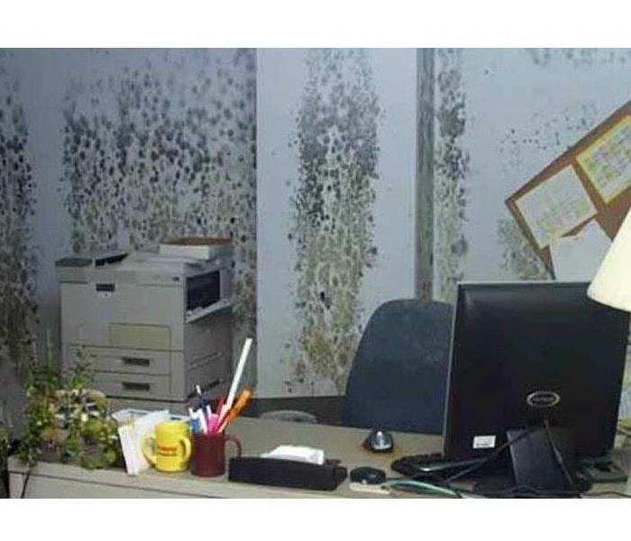 mold in office from being out of the office for prolonged period of time